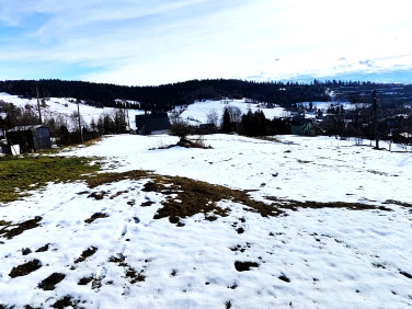 Działka rekreacyjna Obidowa sprzedam