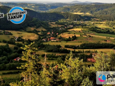 Działka siedliskowa Świerki