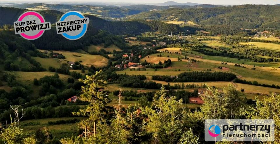 Działka siedliskowa Świerki