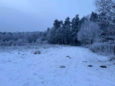 Działka budowlana Słupno