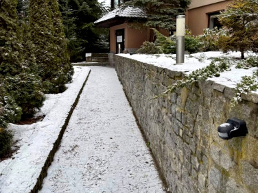 Lokal Kraków wynajem