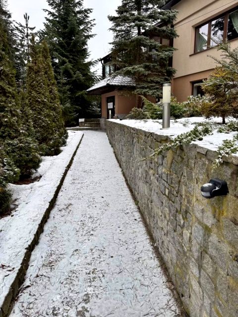 Lokal Kraków wynajem