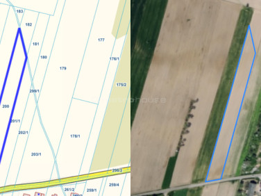 Działka rolna Skierniewice