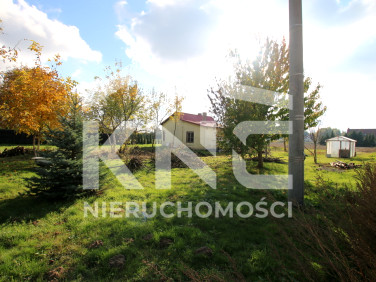 Dom Nasutów sprzedaż