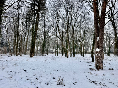 Działka Konstancin-Jeziorna