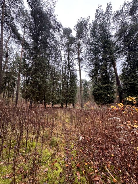 Działka Konstancin-Jeziorna