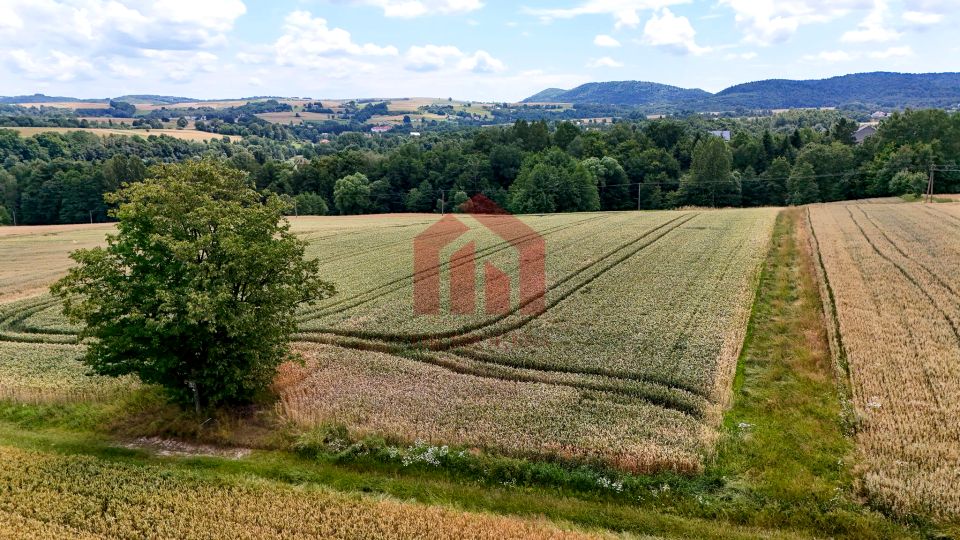 Działka budowlana Brzeziny sprzedam