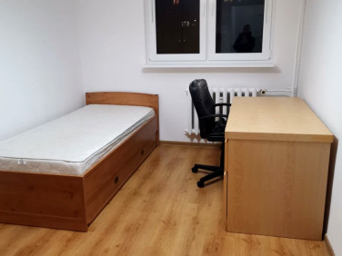 Pokój Zielona Góra