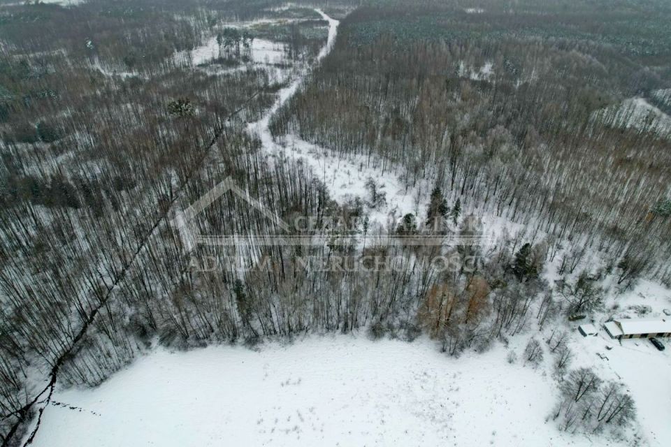 Zdjęcie 2