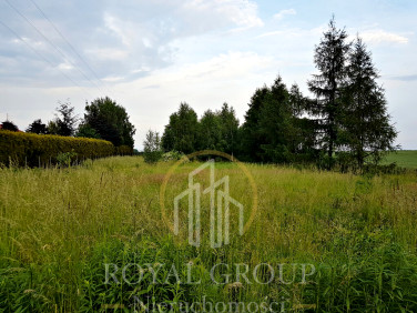 Działka TOMASZOWICE-KOLONIA