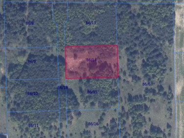 Działka rolna Graniczna Wieś