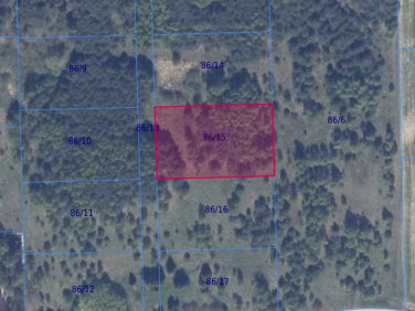 Działka rolna Graniczna Wieś