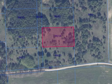 Działka rolna Graniczna Wieś