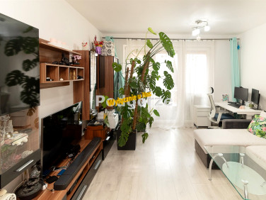 Mieszkanie Kraków sprzedaż