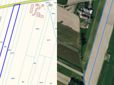 Działka rolna Nowe Rowiska