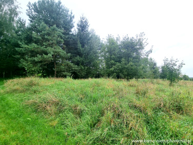 Działka rolna Kwieciszowice