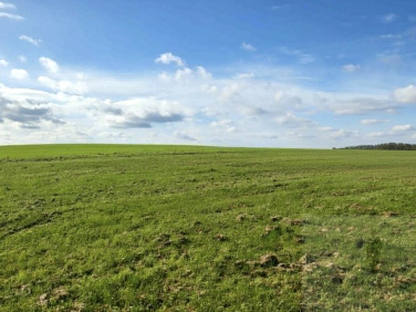 Działka budowlana Lędzin