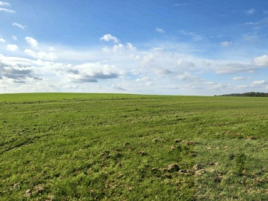 Działka budowlana Lędzin