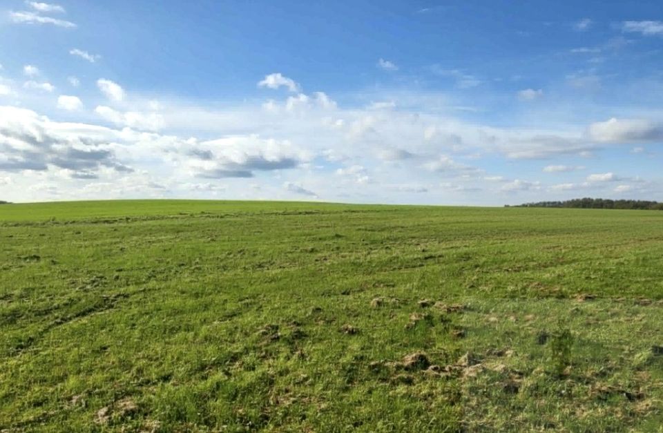 Działka budowlana Lędzin