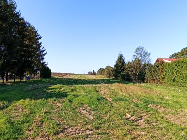 Działka Maciejowice