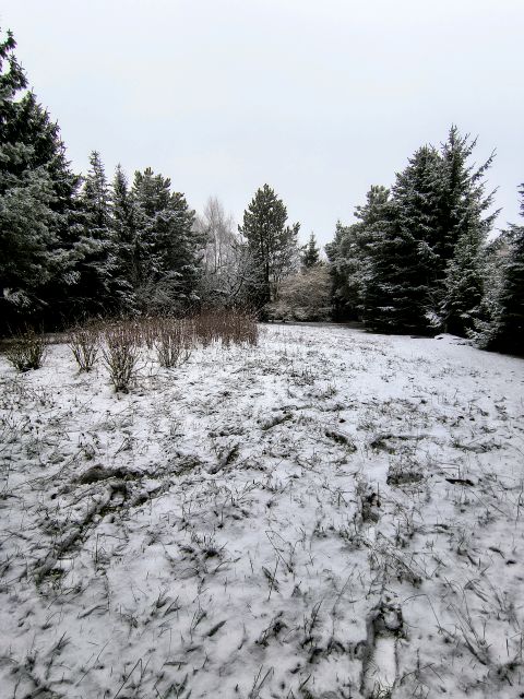 Działka budowlana Szałe