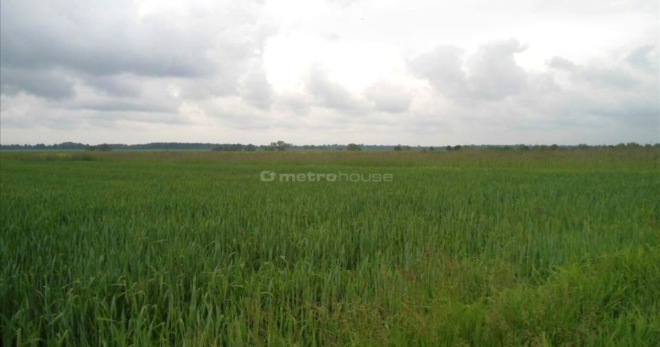 Działka budowlana Silna