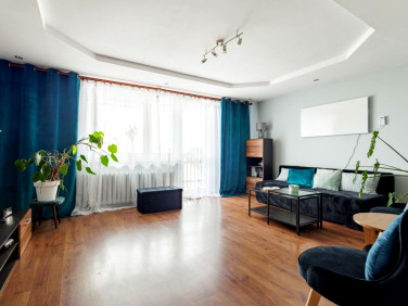 Dom Tchórz sprzedaż