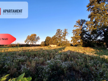 Działka usługowa Chodzież