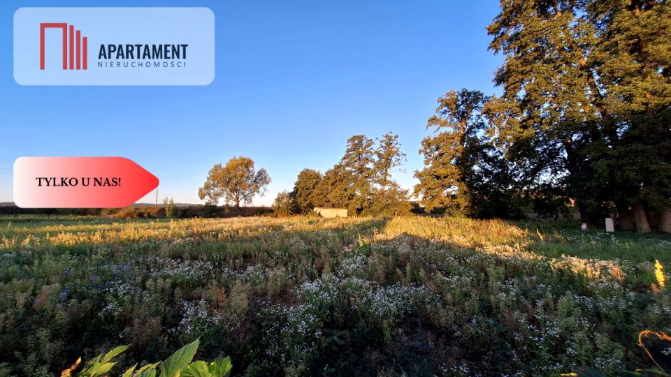 Działka usługowa Chodzież