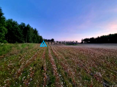 Działka budowlana Piechowice sprzedam