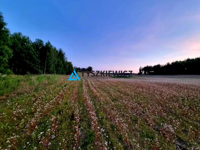 Działka budowlana Piechowice sprzedam