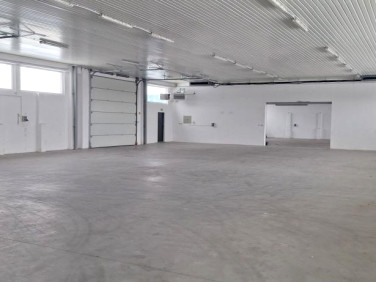 Lokal Kurów wynajem