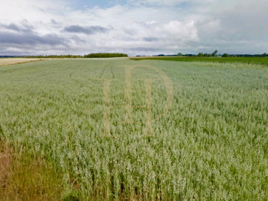 Działka budowlana Małkowo