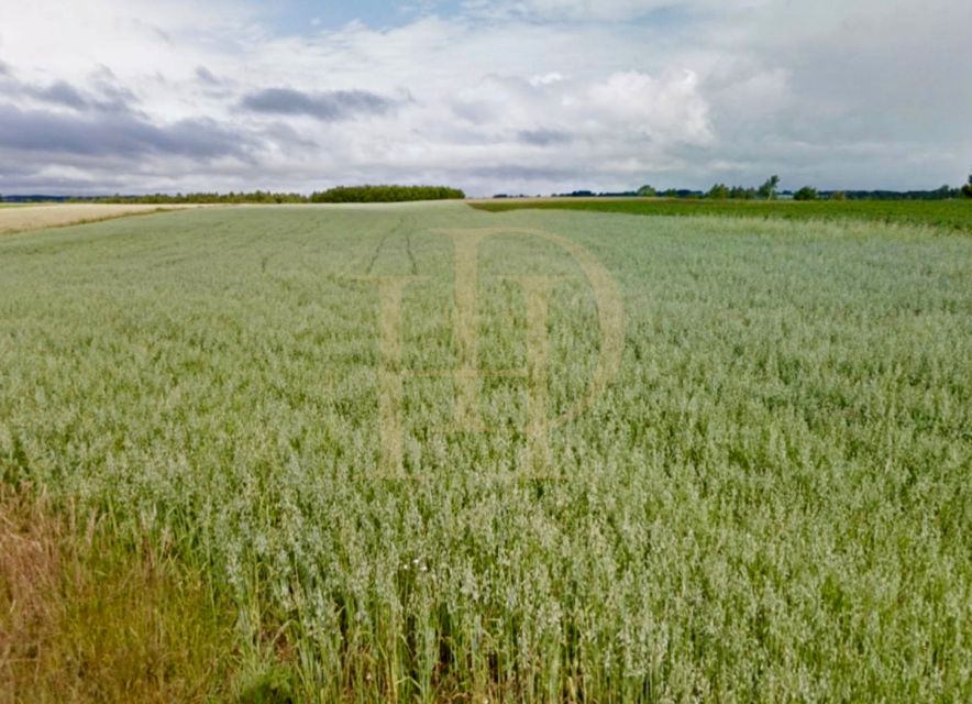 Działka budowlana Małkowo