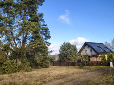 Działka budowlana Okoniny Nadjeziorne