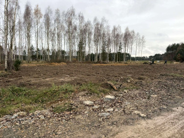 Działka Niestachów