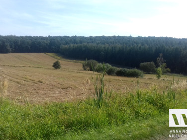 Działka budowlana Kuropatnik