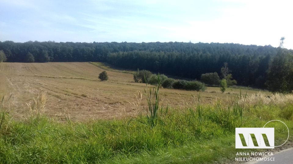 Działka budowlana Kuropatnik