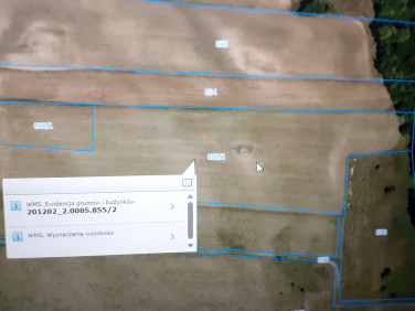 Działka rolna Filipów Czwarty