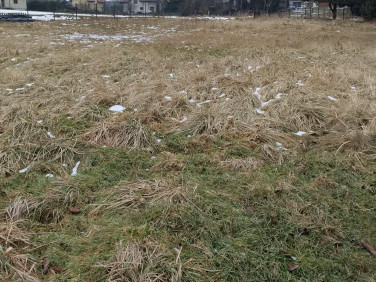 Działka budowlana Jankowice