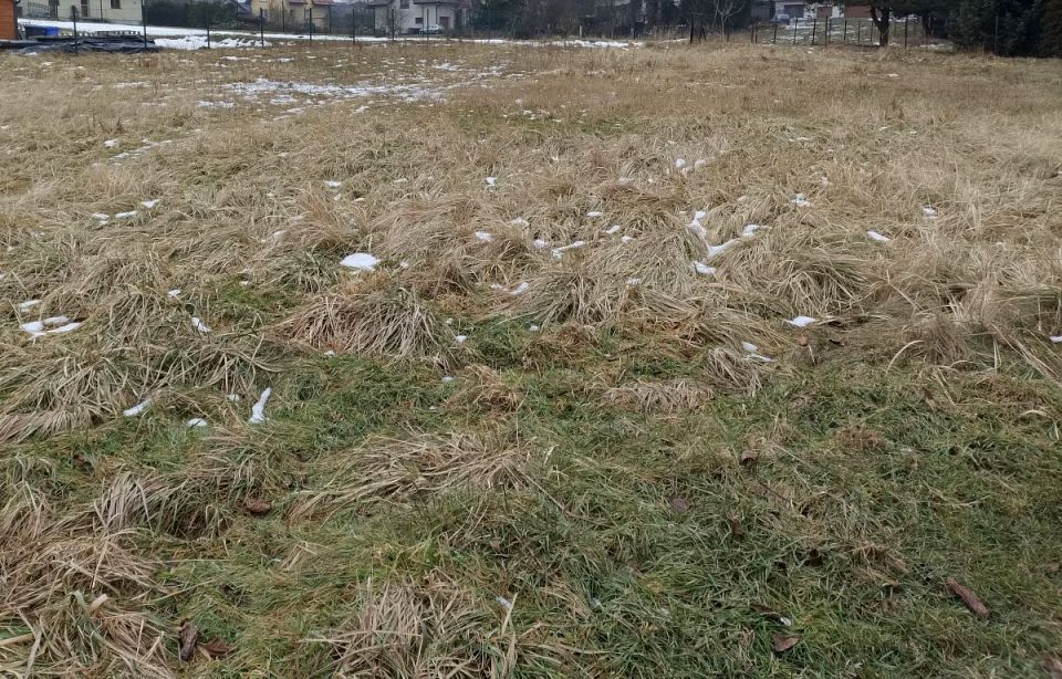 Działka budowlana Jankowice