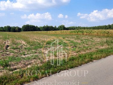 Działka RUDNO