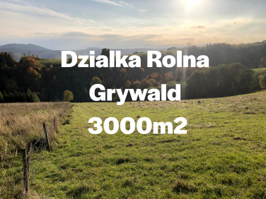 Działka rolna Grywałd