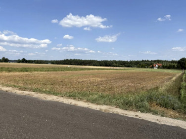 Działka budowlana Warka