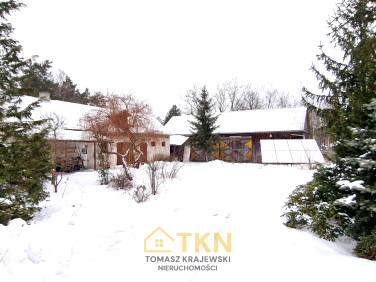 Dom Dąbrowica sprzedaż