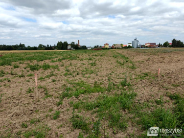 Działka budowlana Bielice