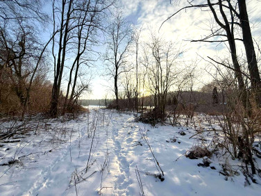 Działka inna Małoszyna