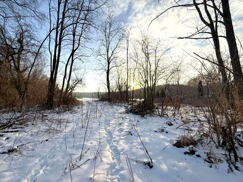 Działka inna Małoszyna