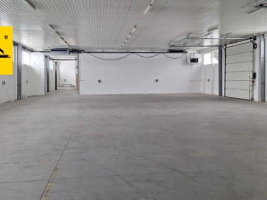 Budynek użytkowy Kurów wynajem