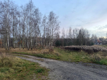 Działka Pabianice